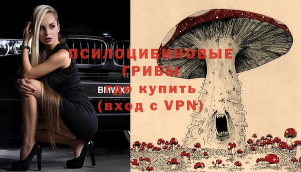 твердый Пролетарск