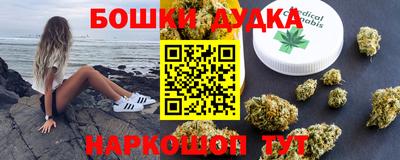 шишки Абакан