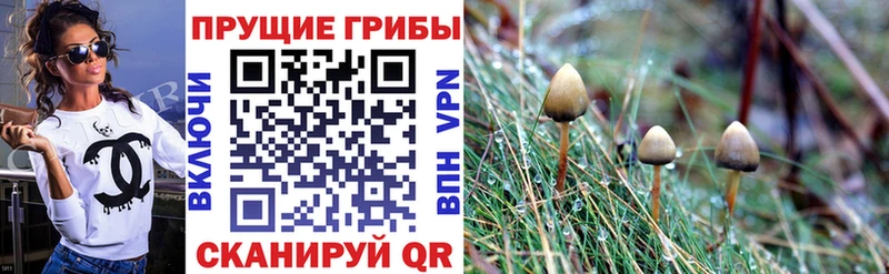 сайты даркнета телеграм  Абинск  Псилоцибиновые грибы прущие грибы 