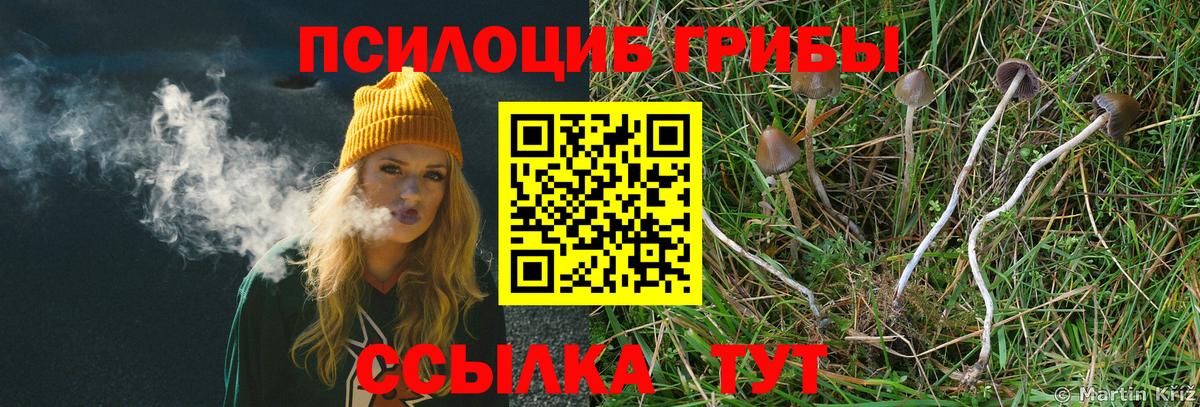 Галлюциногенные грибы Cubensis Абинск