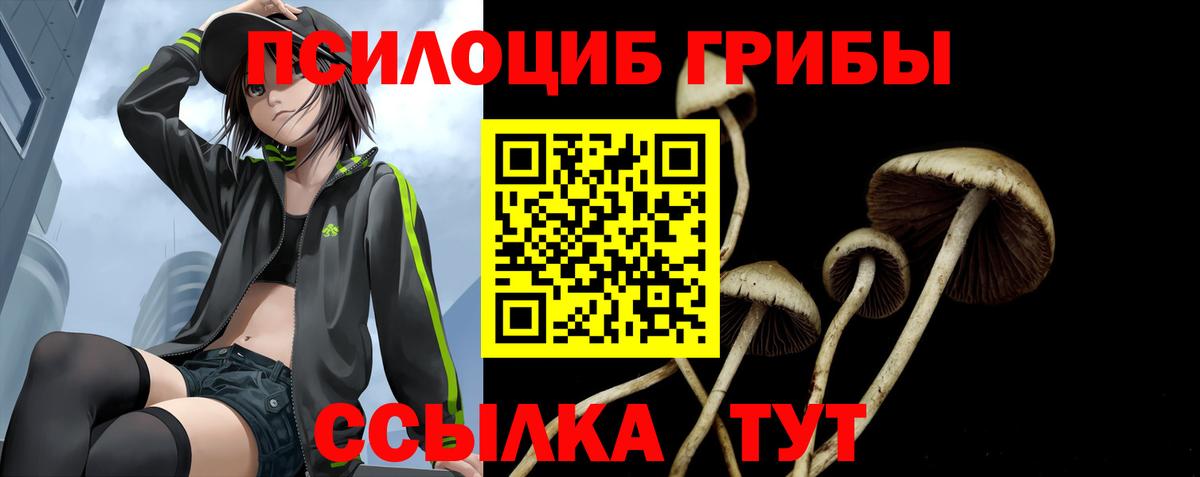Галлюциногенные грибы MAGIC MUSHROOMS  Вход с VPN  Абинск  Псилоцибиновые грибы прущие грибы 