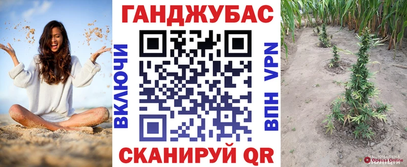 Бошки марихуана гибрид  где можно купить наркотик  Абинск 